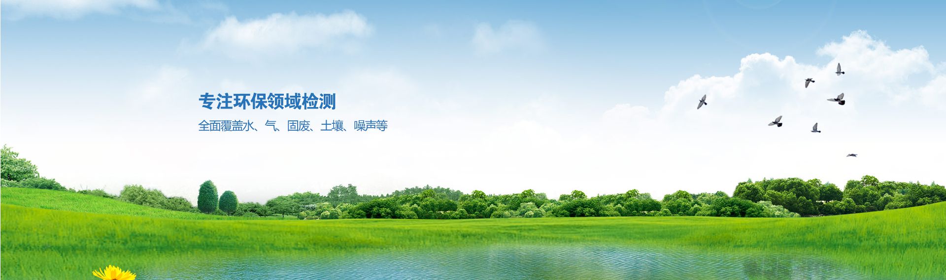 �ŷ�늙C�S��