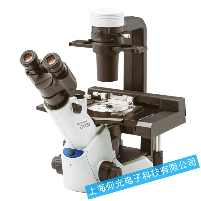 �W�ְ�˹��W�@΢�R�o����������Ĺ��ϙz��